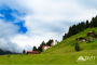 Rize Ayder Yaylası Turu
